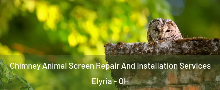  Chimney Animal Screen Repair And Installation Services Elyria - OH