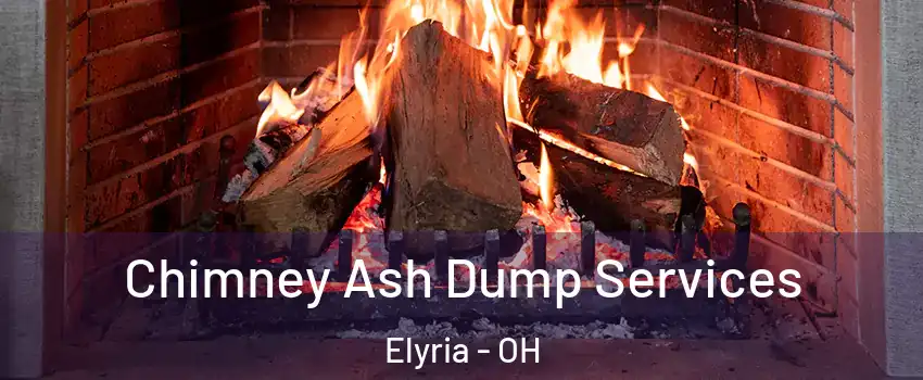  Chimney Ash Dump Services Elyria - OH