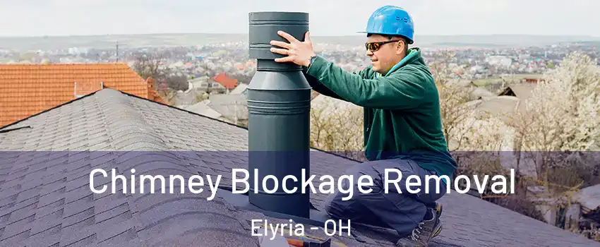  Chimney Blockage Removal Elyria - OH