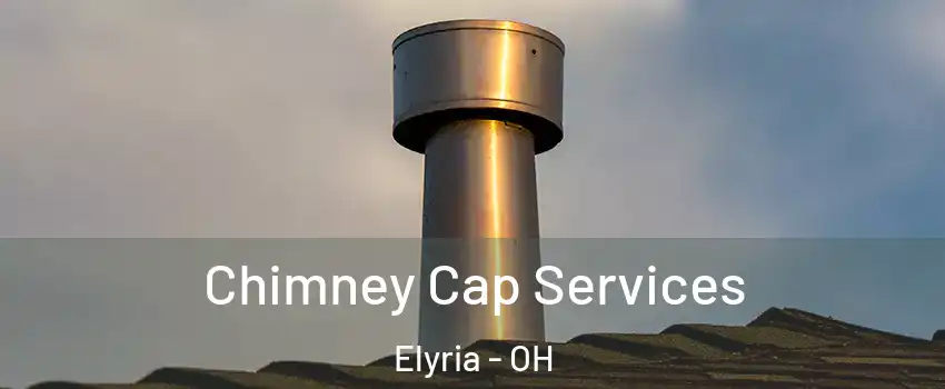  Chimney Cap Services Elyria - OH