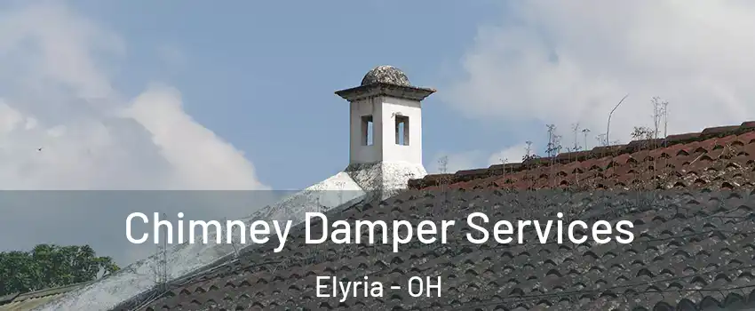  Chimney Damper Services Elyria - OH