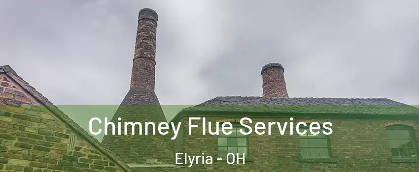  Chimney Flue Services Elyria - OH