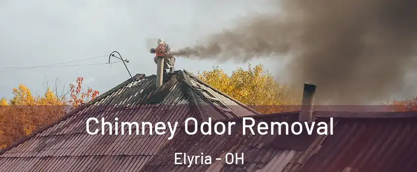  Chimney Odor Removal Elyria - OH
