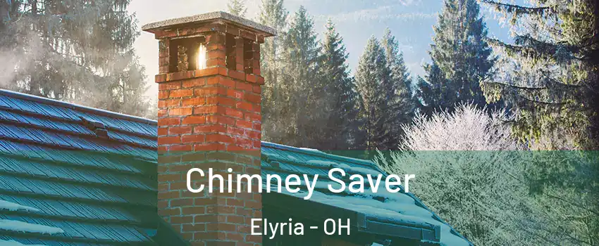  Chimney Saver Elyria - OH