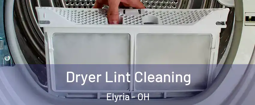  Dryer Lint Cleaning Elyria - OH