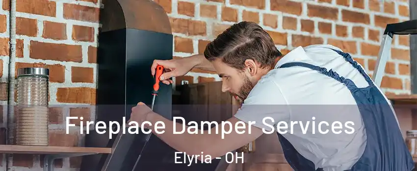  Fireplace Damper Services Elyria - OH
