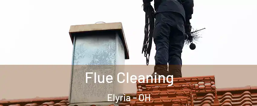  Flue Cleaning Elyria - OH