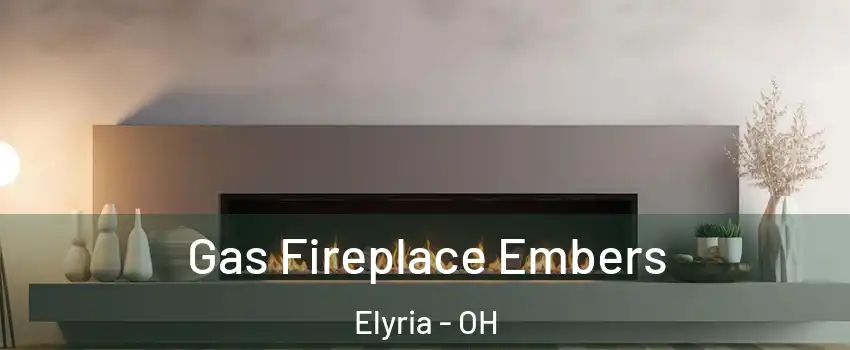 Gas Fireplace Embers Elyria - OH