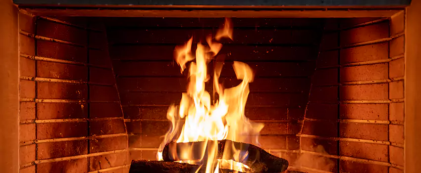Soot Cleanup Services in Elyria, OH