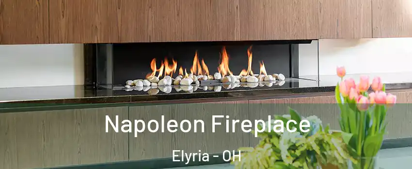  Napoleon Fireplace Elyria - OH